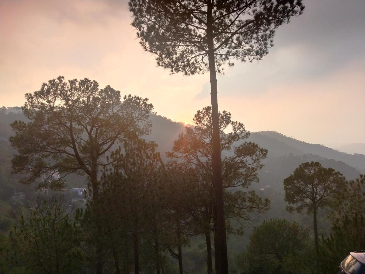 Pine Villa Kasauli Esterno foto