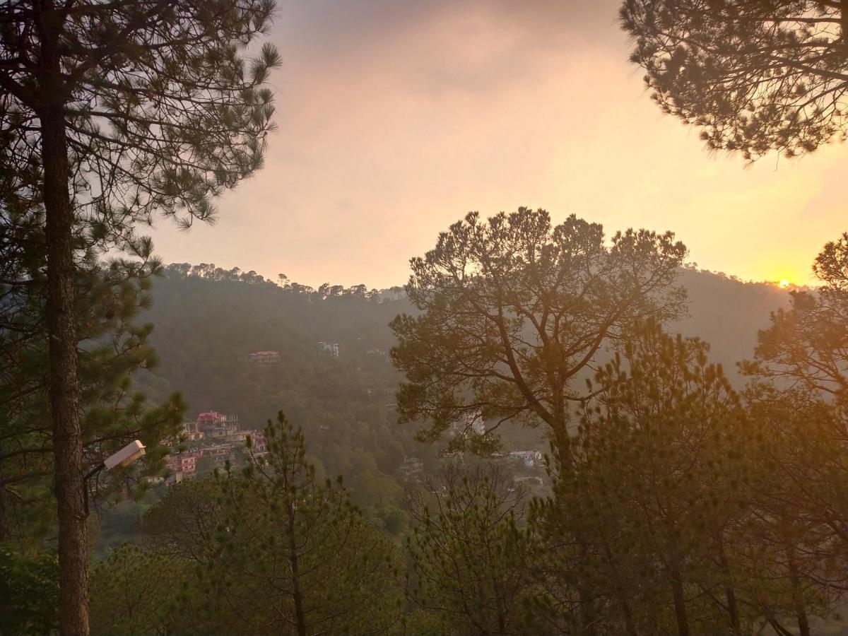 Pine Villa Kasauli Esterno foto