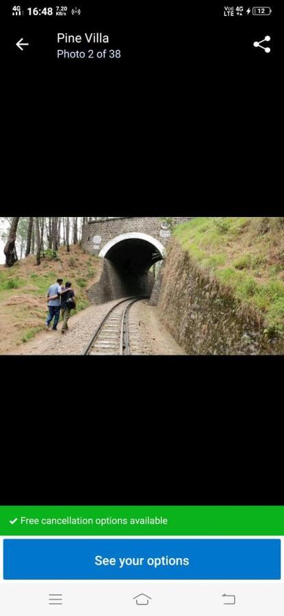 Pine Villa Kasauli Esterno foto