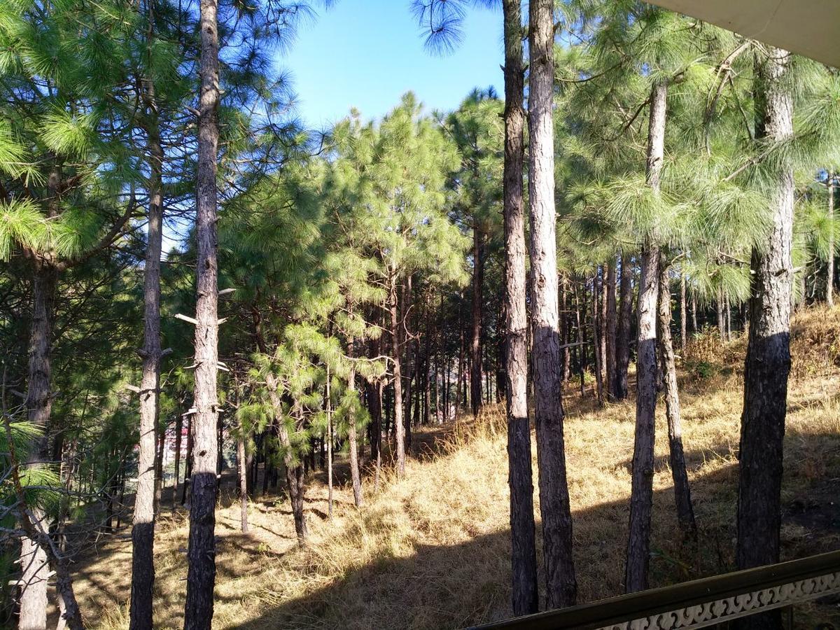 Pine Villa Kasauli Esterno foto
