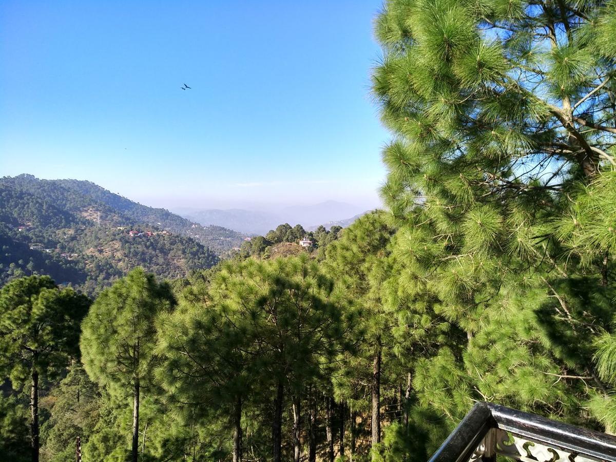 Pine Villa Kasauli Esterno foto
