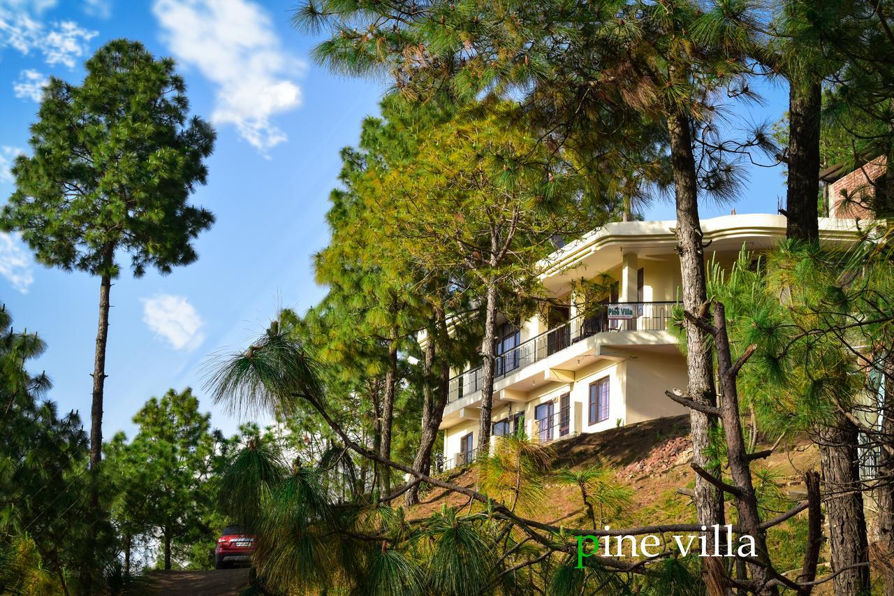 Pine Villa Kasauli Esterno foto